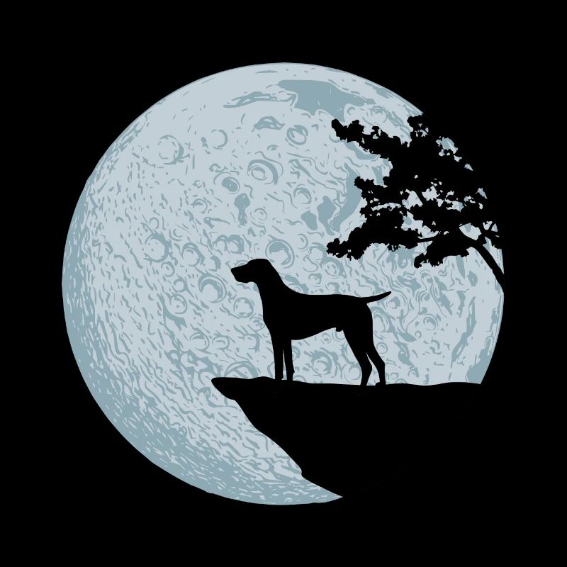 German shorthaired pointer