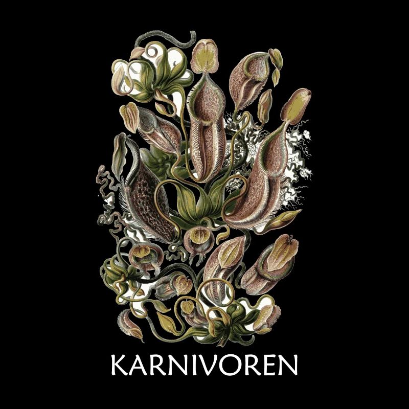 Pièges de mouches de Venus