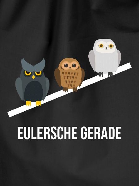 Eulersche Gerade