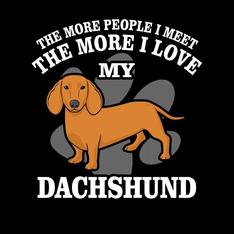 Dachshund Dachshund