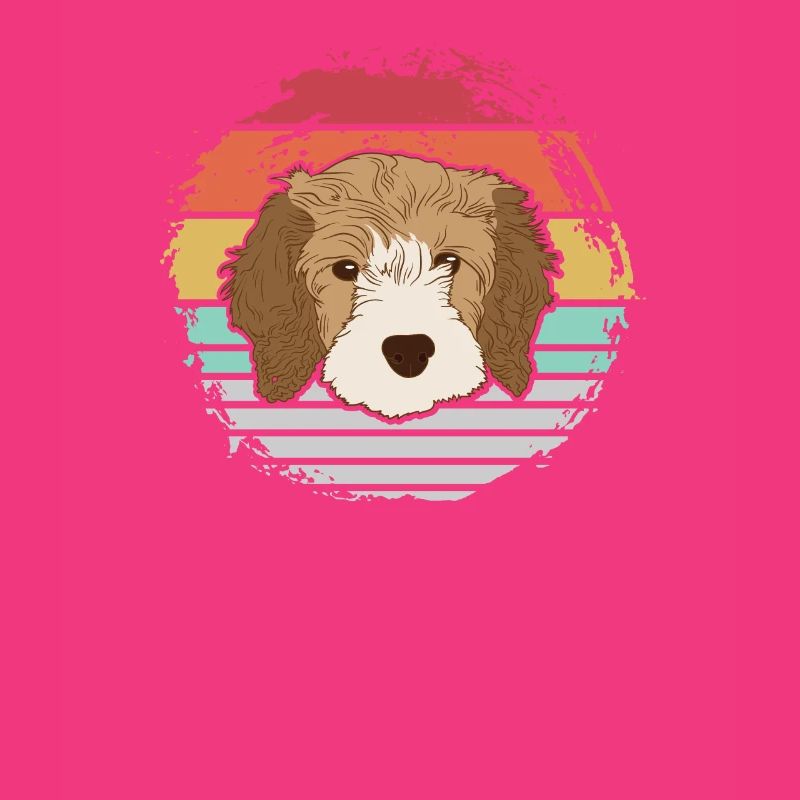 Cavapoo dog