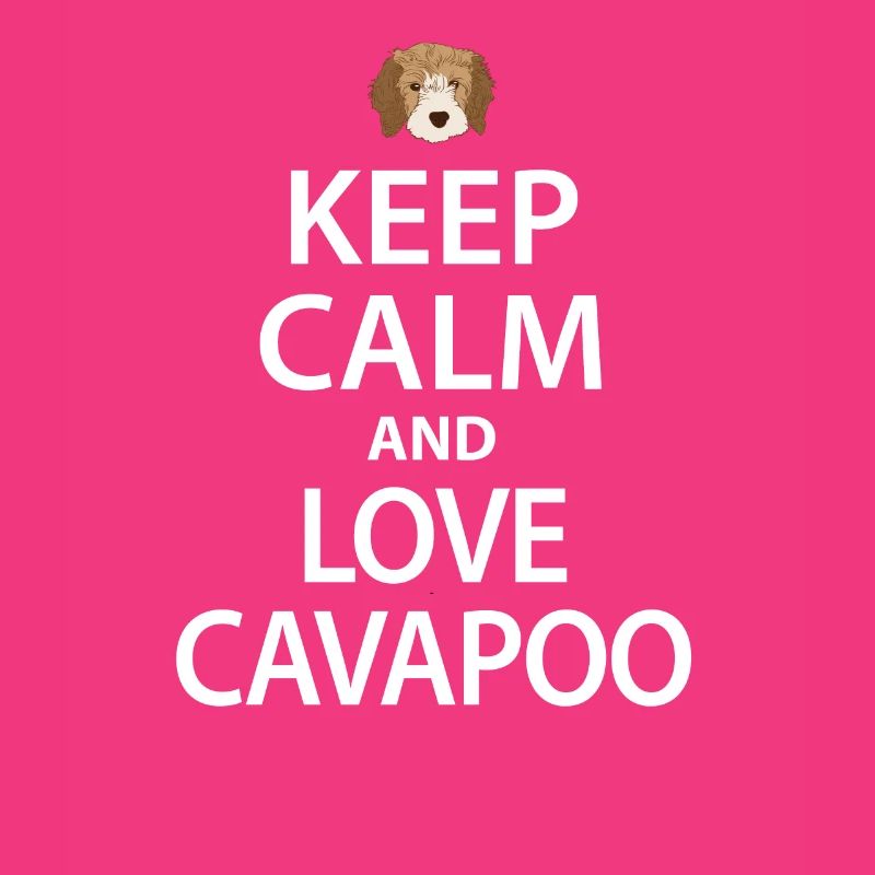 Cavapoo dog