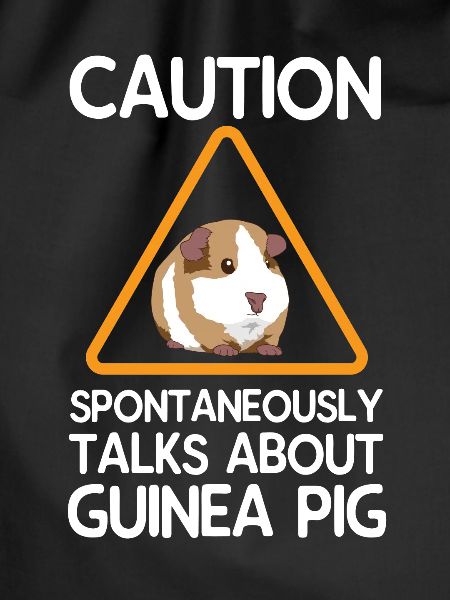 Cavy guinea pig