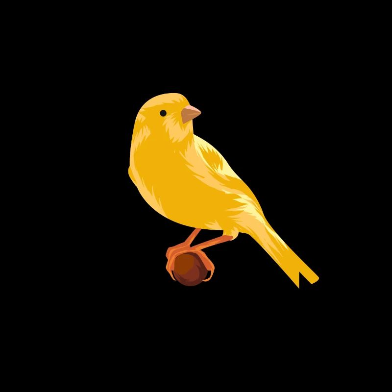 Canary on branch
