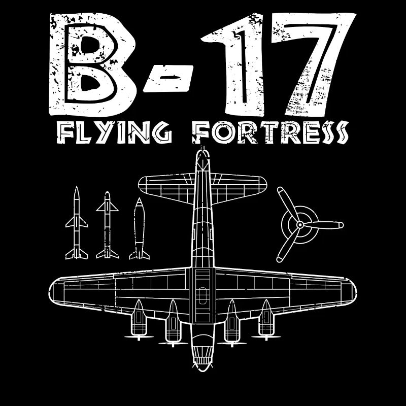 B17 Flying Fortress Geschenk, Luftwaffe, Luftfahrt