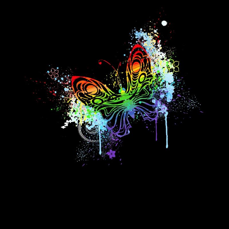 Rainbow butterfly