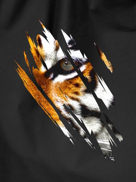 Tiger Eyes