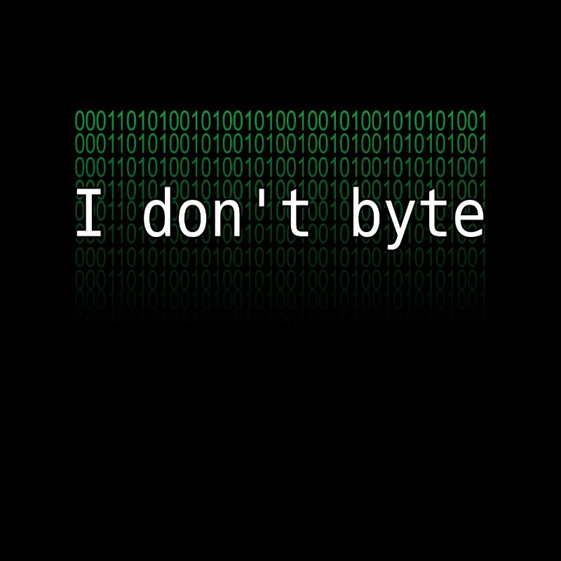 programmer