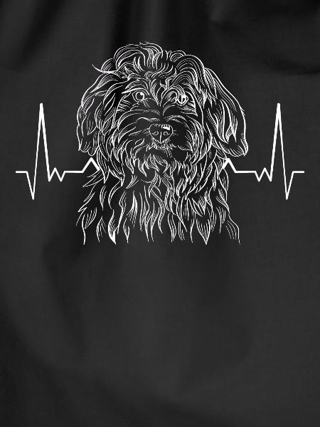 Havanese Havanese