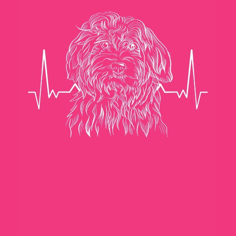 Havaneser Havanese