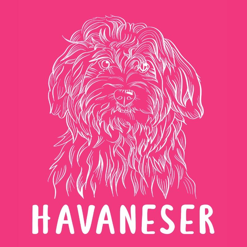 Havanese white