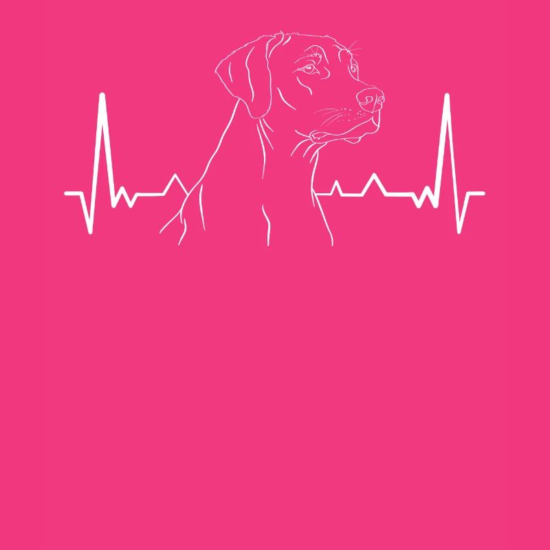 Rhodesian Ridgeback EKG