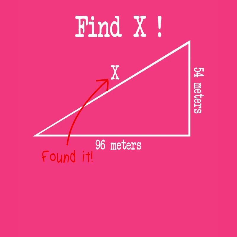Math Math Meme Find X Found It Pythagore