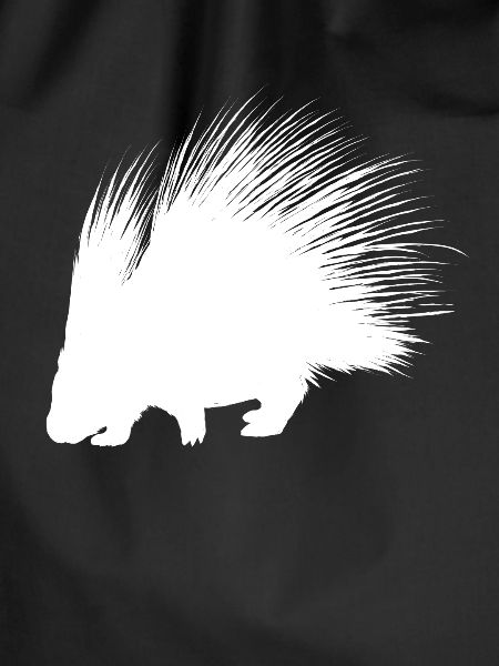 Porcupine