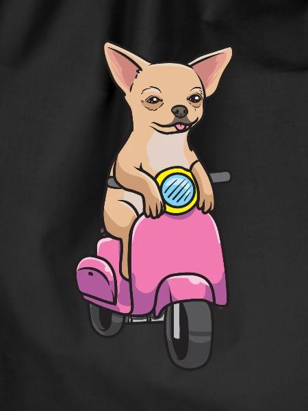 Chihuahua on motorcycle