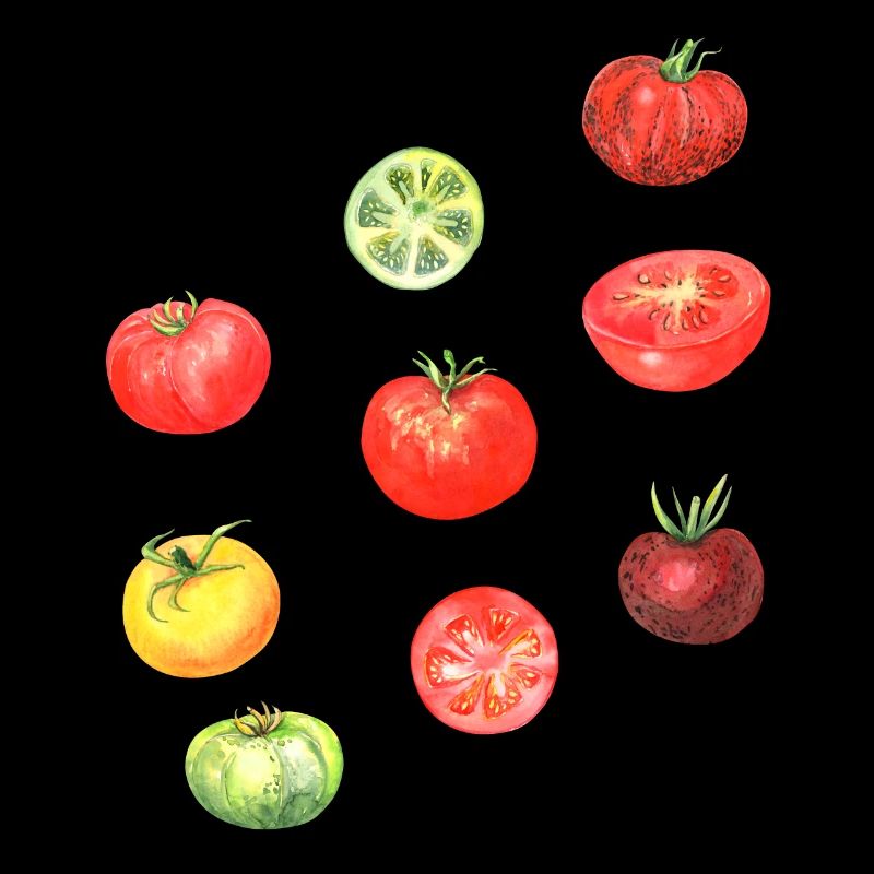Tomato Pasta Italia Cook