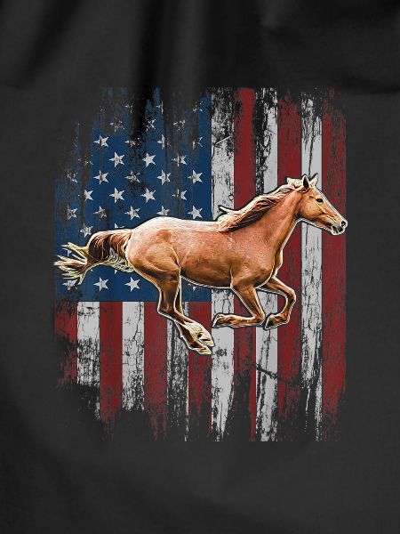 USA Flag