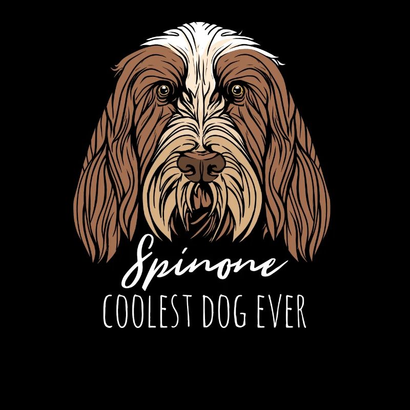 Spinone Italiano