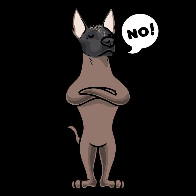 Sturer Xoloitzcuintle Dog