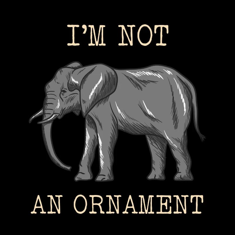 Elefant Tierschutz