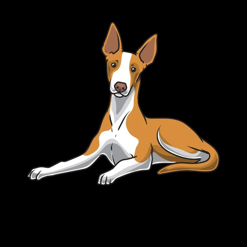 Podenco Dog