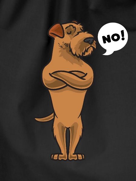 Sturer Irish Terrier