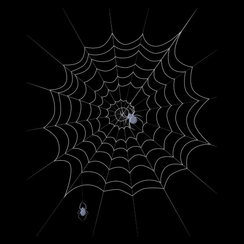 Spider web, spider, Halloween