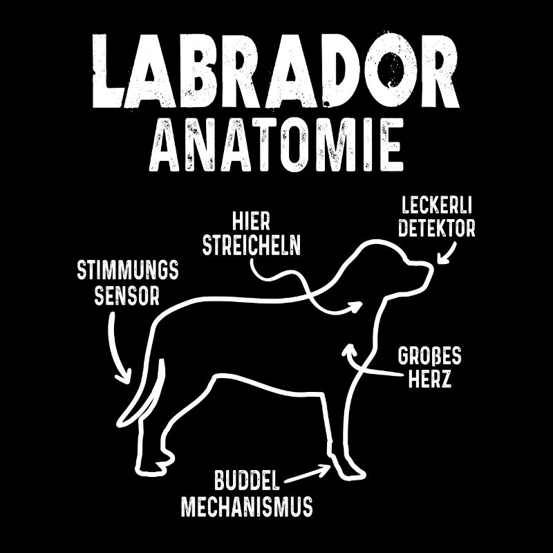 Labrador Anatomie Hundebesitzer Lustig Hunde