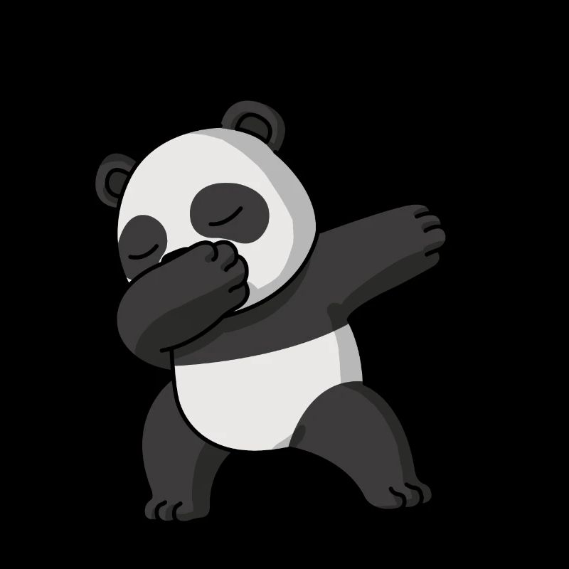Dabbing Panda Drôle Pyjama Costume
