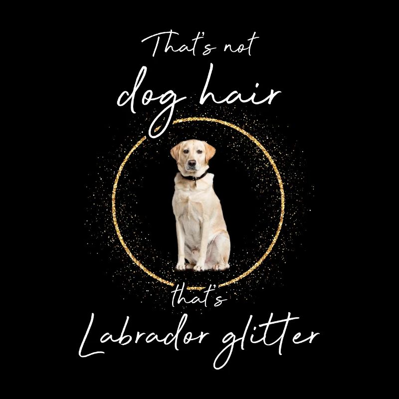C’est le Labrador scintillant