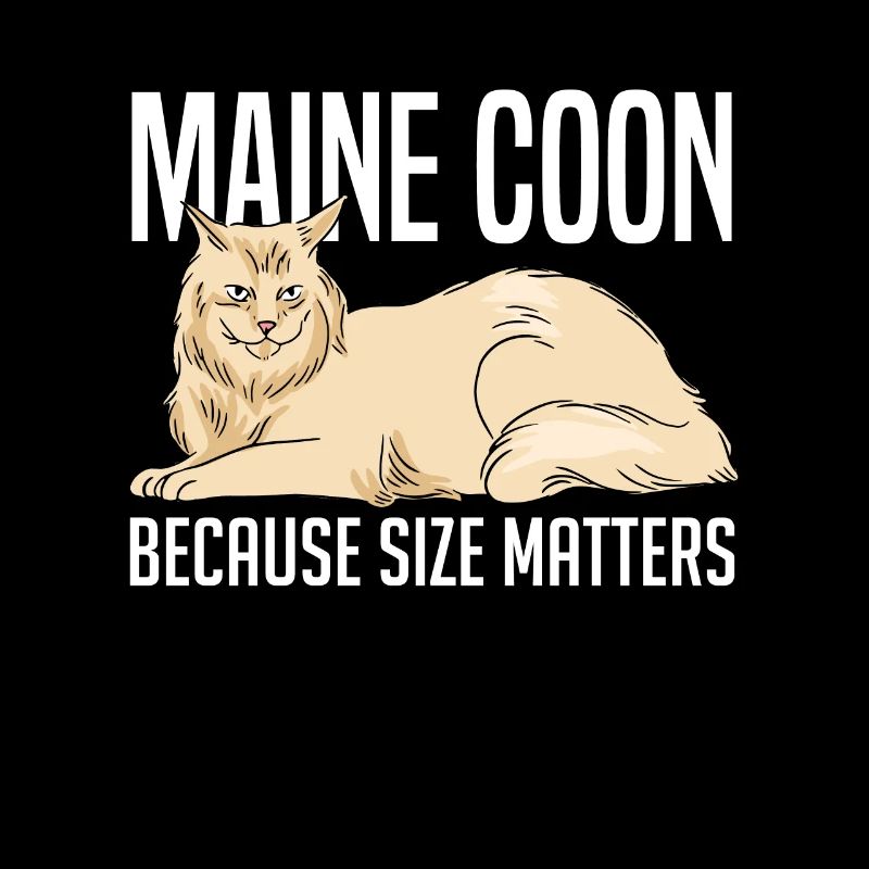 Maine Coon Katze