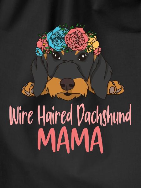 Rough-haired dachshund MAMA