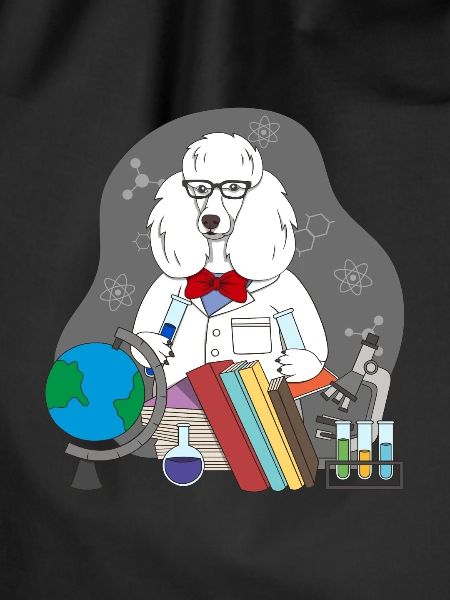 Poodle Scientist