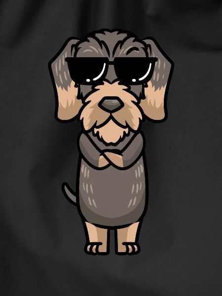 Rough-haired Dachshund Dog