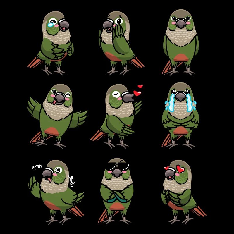 Molinasittich Perruche Perroquet Oiseau