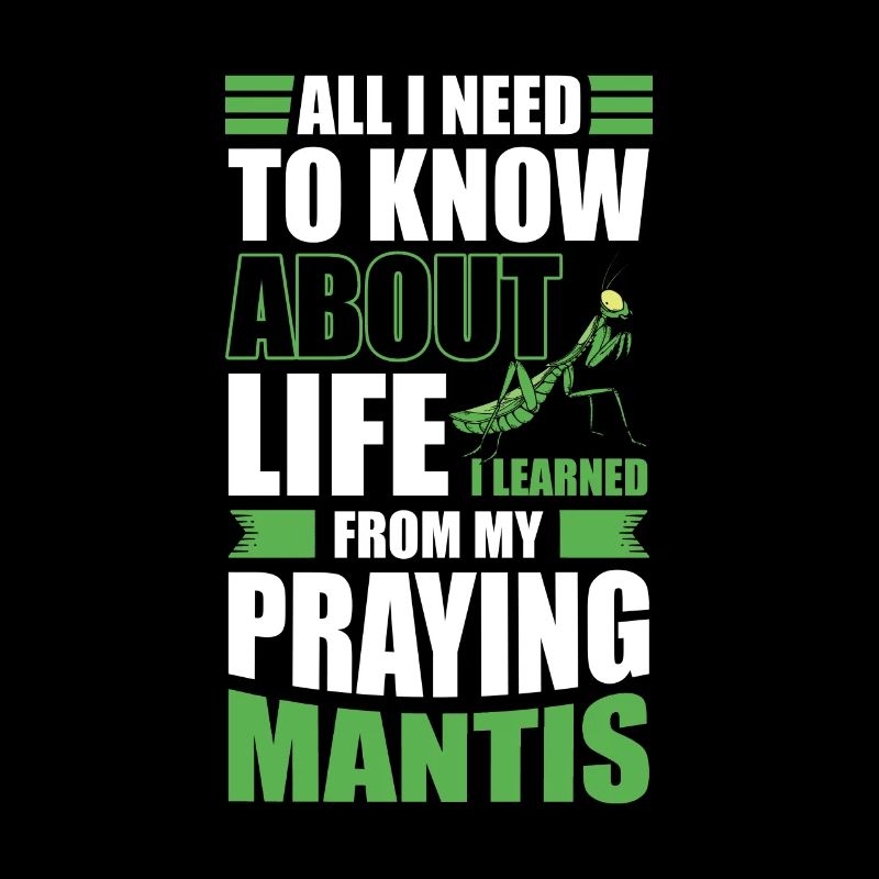Gottesanbeterin Mantis Fangschrecke