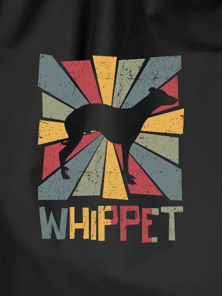 Whippet