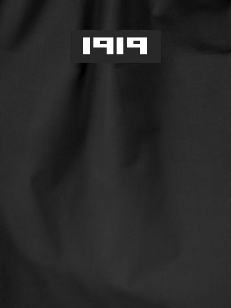 August 1918 1919