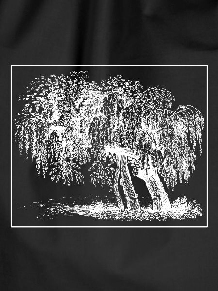 Baum