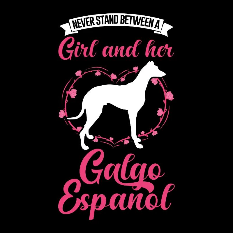 Galgo Espanol Mädchen Spanischer Windhund