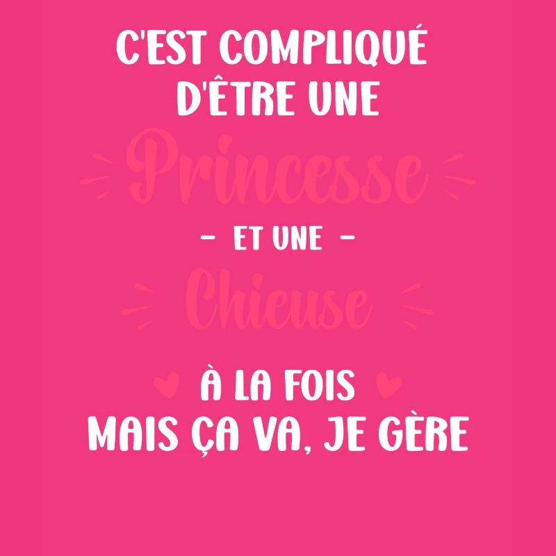 C est compliqué princesse et Chieuse