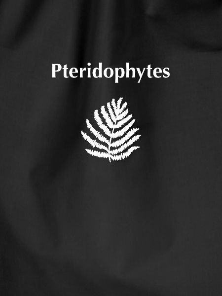 Pteridophytes