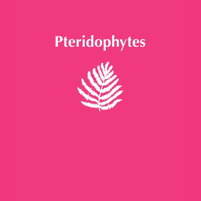 Pteridophytes