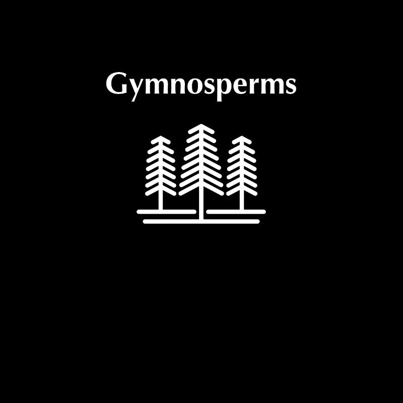 Gymnospermen
