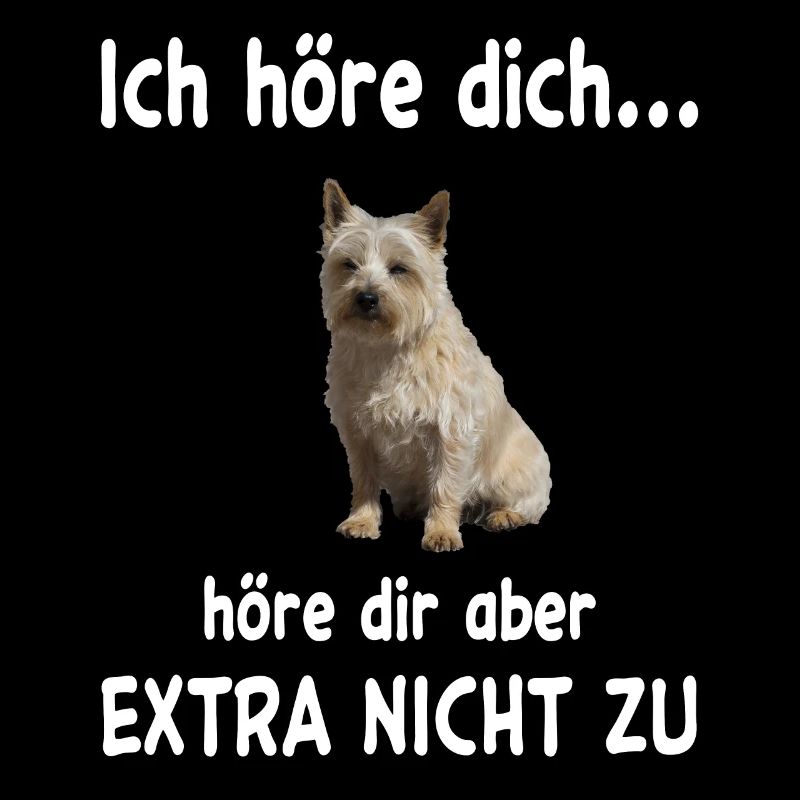 Cairn Terrier Hund - Cairn Terrier