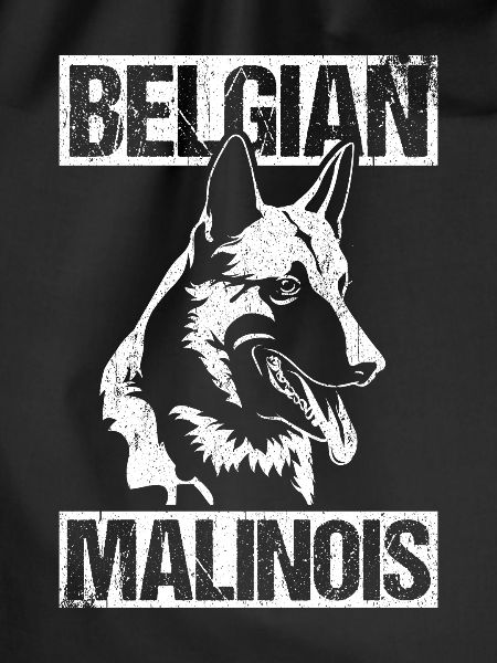 Belgian Malinois Hunde