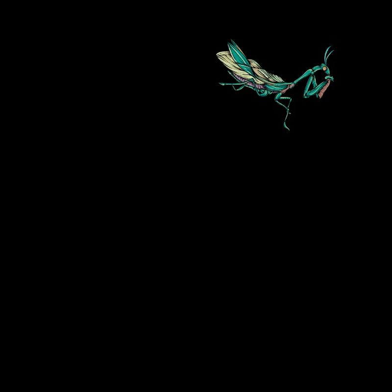 Praying Mantis I Mantis Insect Motif