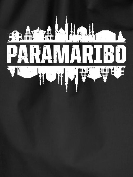 Paramaribo Skyline