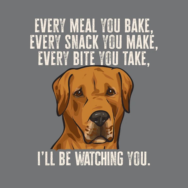 Chien Rhodesian Ridgeback