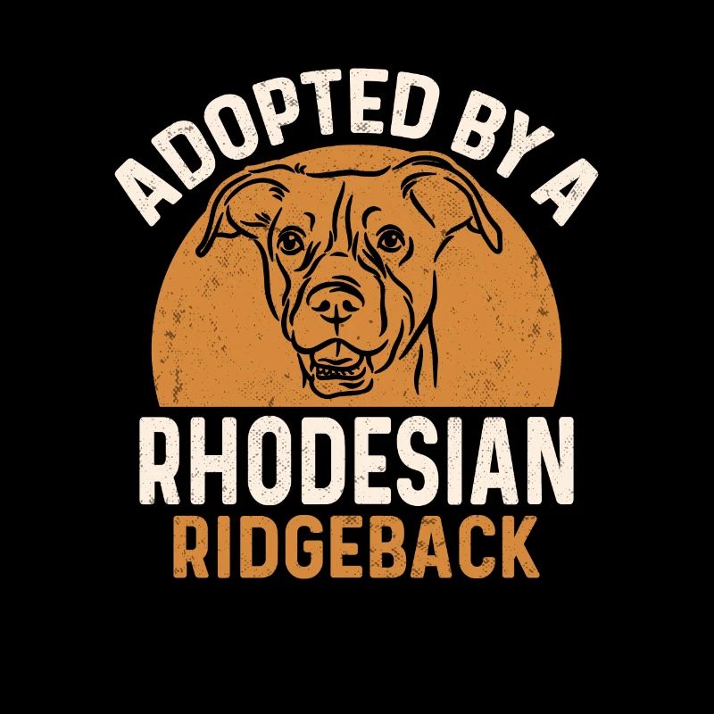 Rhodesian Ridgeback Hund